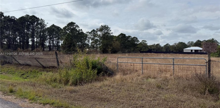 Земельный участок в Клуистон, Флорида № 2004552