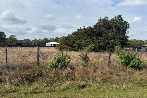 Купить земельный участок в Клуистон, Флорида № 2004552 - фото 5