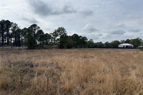 Купить земельный участок в Клуистон, Флорида № 2004552 - фото 9