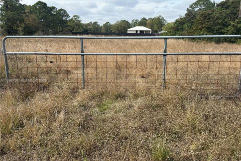 Купить земельный участок в Клуистон, Флорида № 2004552 - фото 2