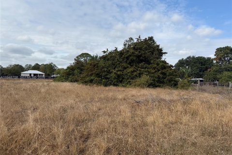 Купить земельный участок в Клуистон, Флорида № 2004552 - фото 11