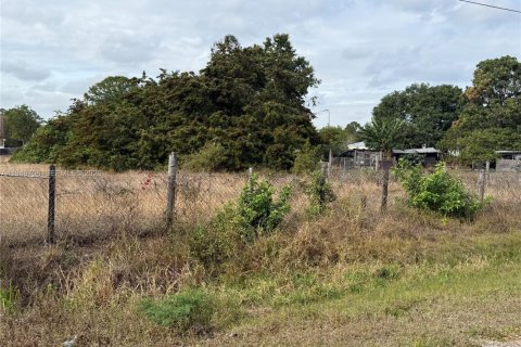 Купить земельный участок в Клуистон, Флорида № 2004552 - фото 7