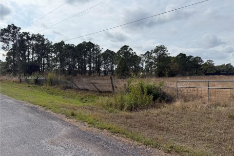 Купить земельный участок в Клуистон, Флорида № 2004552 - фото 6