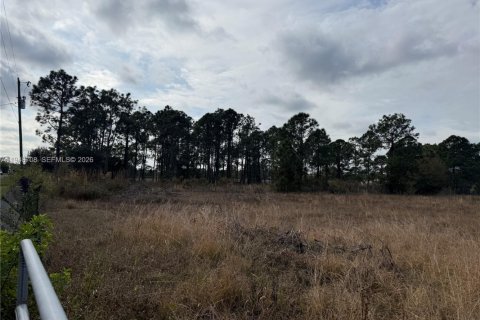 Купить земельный участок в Клуистон, Флорида № 2004552 - фото 8