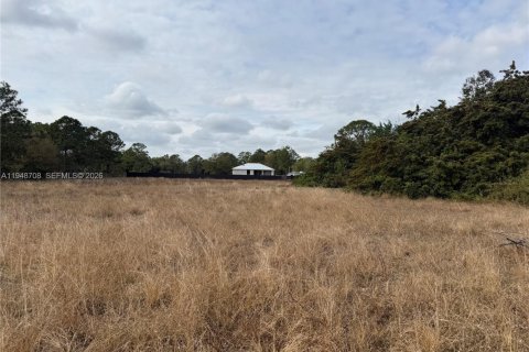 Купить земельный участок в Клуистон, Флорида № 2004552 - фото 10