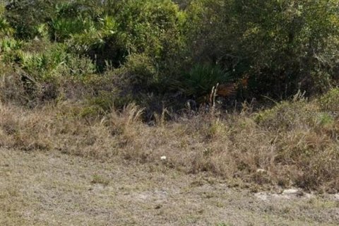 Land in Ocala, Florida № 2162891