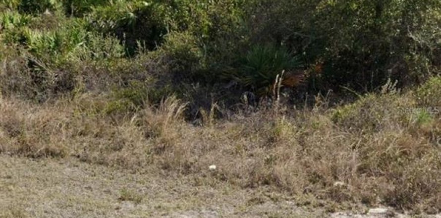 Land in Ocala, Florida № 2162891