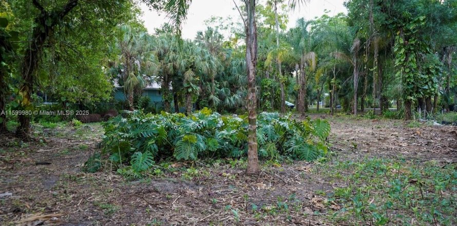 Land in LaBelle, Florida № 1957546