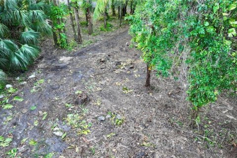 Land in LaBelle, Florida № 1957546 - photo 6