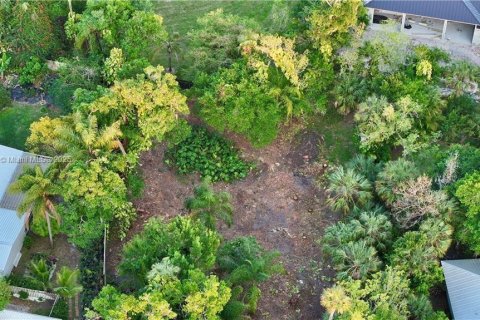 Land in LaBelle, Florida № 1957546 - photo 5
