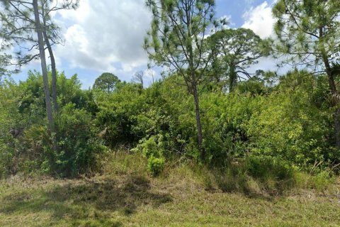 Land in Port Charlotte, Florida № 2164977