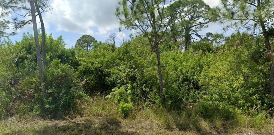 Land in Port Charlotte, Florida № 2164977