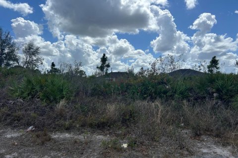 Propiedad comercial en venta en Lehigh Acres, Florida № 2158294 - foto 3