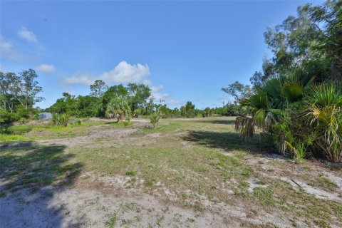 Immobilier commercial à vendre à Wimauma, Floride: 521.37 m2 № 2131575 - photo 16