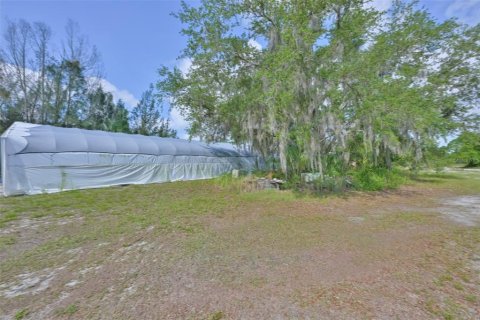 Immobilier commercial à vendre à Wimauma, Floride: 521.37 m2 № 2131575 - photo 7
