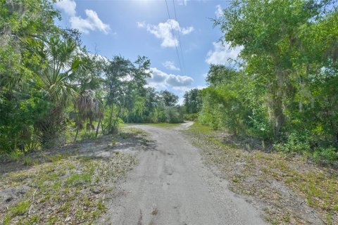 Immobilier commercial à vendre à Wimauma, Floride: 521.37 m2 № 2131575 - photo 13