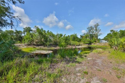 Immobilier commercial à vendre à Wimauma, Floride: 521.37 m2 № 2131575 - photo 14