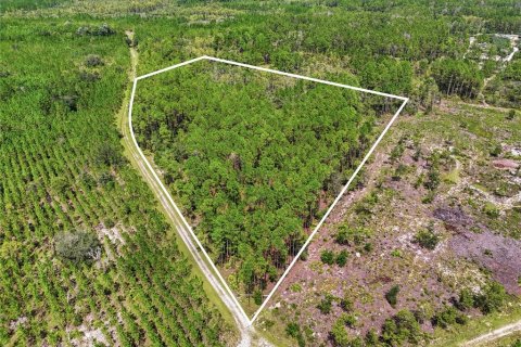 Land in Trenton, Florida № 2345498