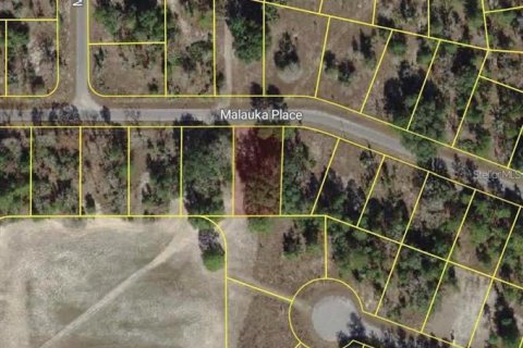 Land in Ocklawaha, Florida № 2161423 - photo 2
