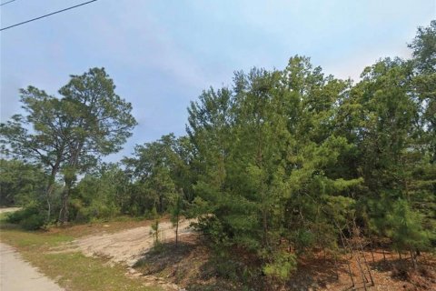 Land in Ocklawaha, Florida № 2161423