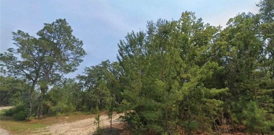 Land in Ocklawaha, Florida № 2161423