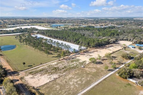 Land in Howey-in-the-Hills, Florida № 1030706 - photo 22