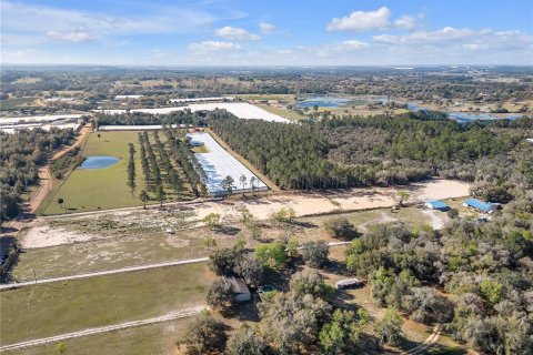 Land in Howey-in-the-Hills, Florida № 1030706 - photo 24