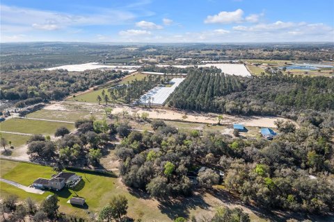 Land in Howey-in-the-Hills, Florida № 1030706 - photo 28