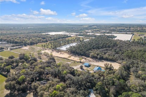 Land in Howey-in-the-Hills, Florida № 1030706 - photo 30