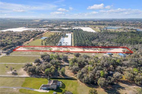 Land in Howey-in-the-Hills, Florida № 1030706 - photo 6