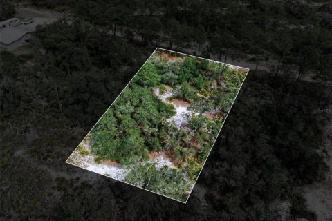 Land in Sebring, Florida № 2161673 - photo 2