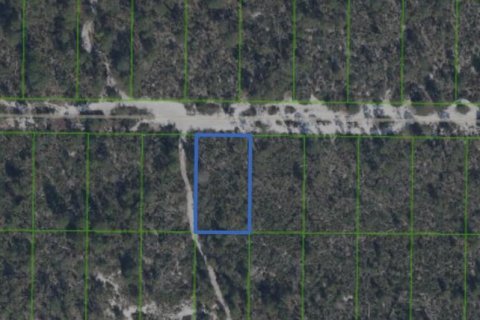 Immobilier commercial à Sebring, Floride № 2343848