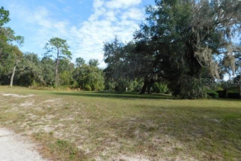 Terreno en venta en Dade City, Florida № 226151 - foto 6