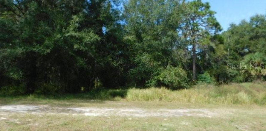 Terreno en Dade City, Florida № 226151