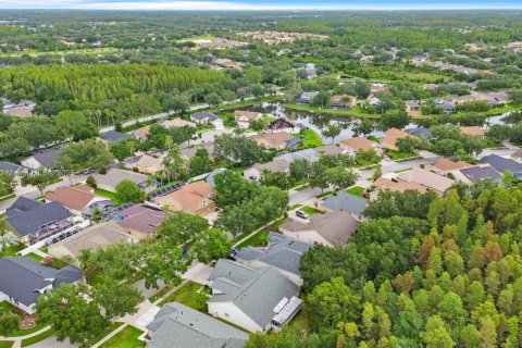 House in Tampa, Florida 4 bedrooms, 255.48 sq.m. № 1890343 - photo 5