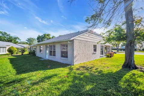 Condo in New Port Richey, Florida, 2 bedrooms  № 1747041 - photo 13