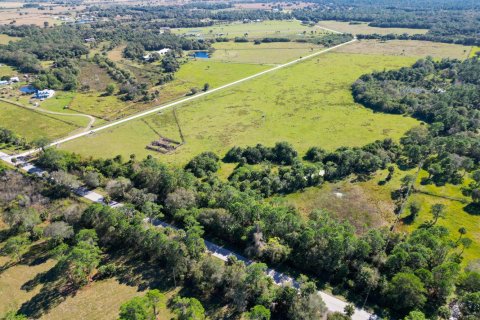 Immobilier commercial à vendre à Okeechobee, Floride № 2083224 - photo 17