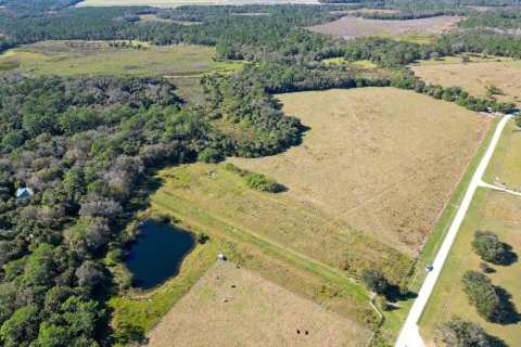 Immobilier commercial à vendre à Okeechobee, Floride № 2083224 - photo 7