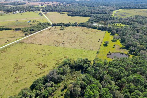 Immobilier commercial à vendre à Okeechobee, Floride № 2083224 - photo 13