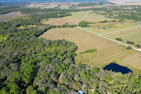 Immobilier commercial à vendre à Okeechobee, Floride № 2083224 - photo 2