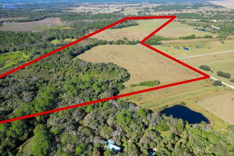 Immobilier commercial à vendre à Okeechobee, Floride № 2083224 - photo 4