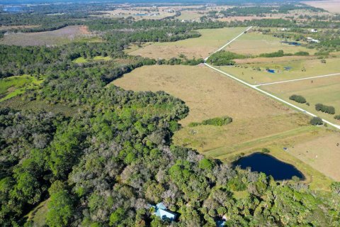 Immobilier commercial à vendre à Okeechobee, Floride № 2083224 - photo 3