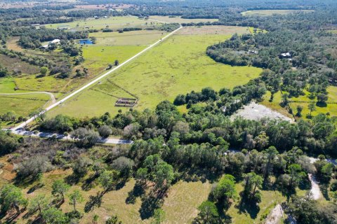Immobilier commercial à vendre à Okeechobee, Floride № 2083224 - photo 19