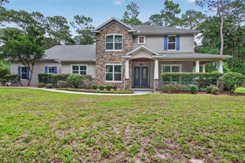 Villa ou maison à DeLand, Floride 4 chambres, 303.23 m2 № 2220146