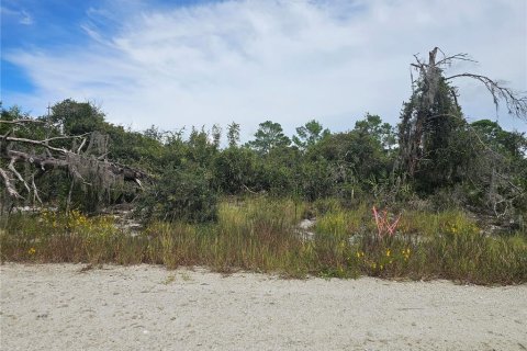 Land in Lake Placid, Florida № 2206305