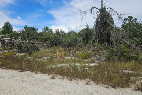 Terrain à vendre à Lake Placid, Floride № 2206305 - photo 4