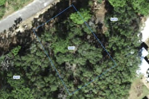 Land in Citrus Springs, Florida № 2388281