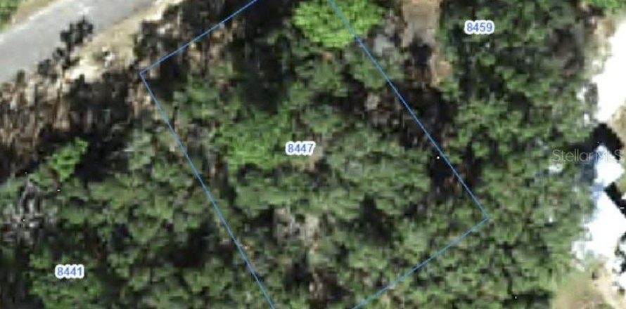Land in Citrus Springs, Florida № 2388281