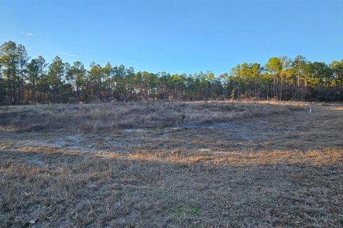 Land in Ocala, Florida № 1532522 - photo 1