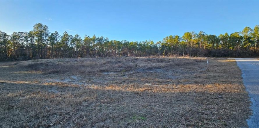 Land in Ocala, Florida № 1532522
